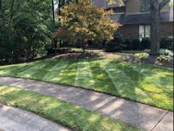 Landscaping elevate Lawn