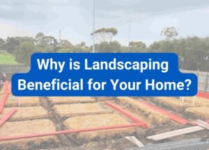 Why is landscaping important - Hammer Excavation